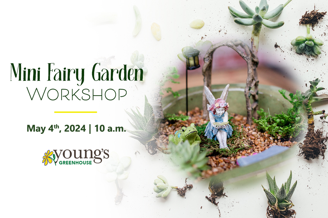 Mini Fairy Garden Workshop May 4